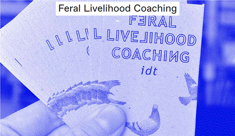 feral_livelihood_coaching.png